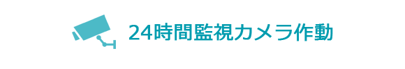 24時間監視カメラ作動