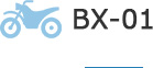 BX-01
